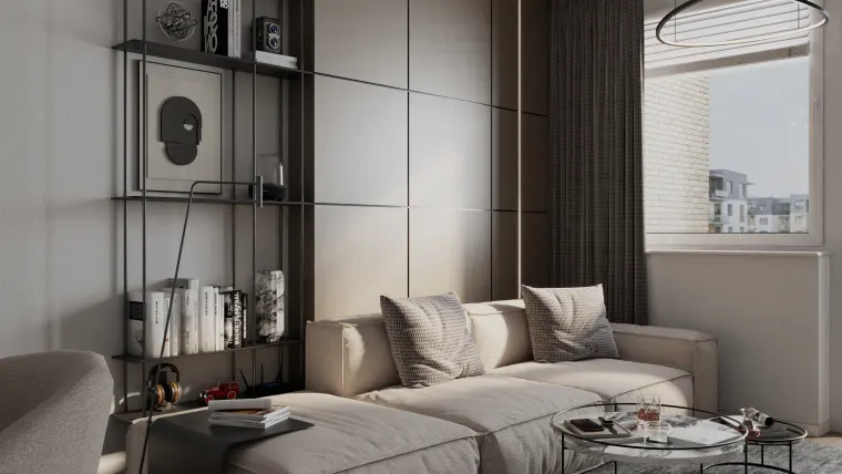 Sofa and bookcase