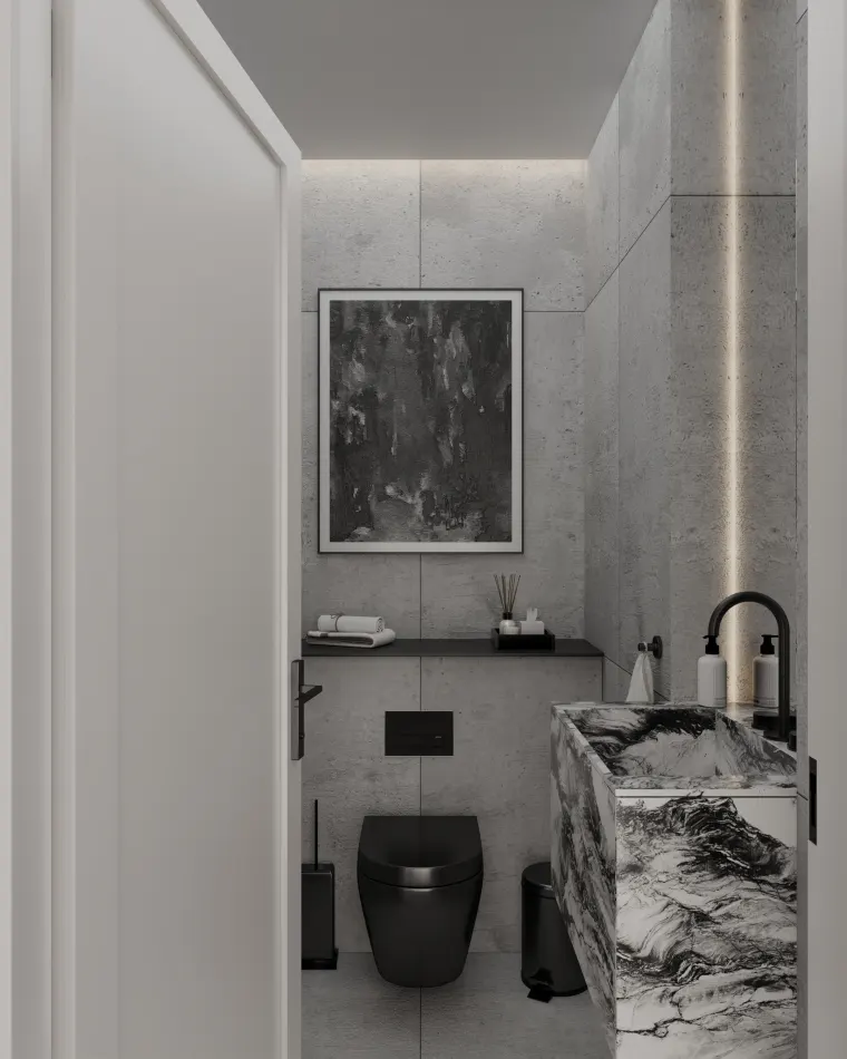 Toilet with a painting